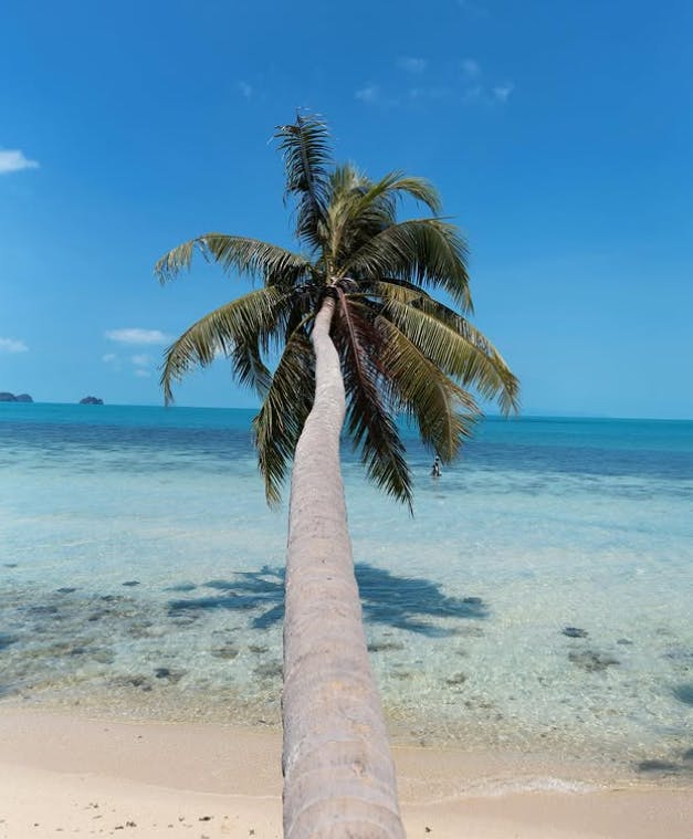 Koh Samui: The Relaxed Island Gem